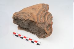 Foto von Feuerbock (NHMW-PRAE-003429)